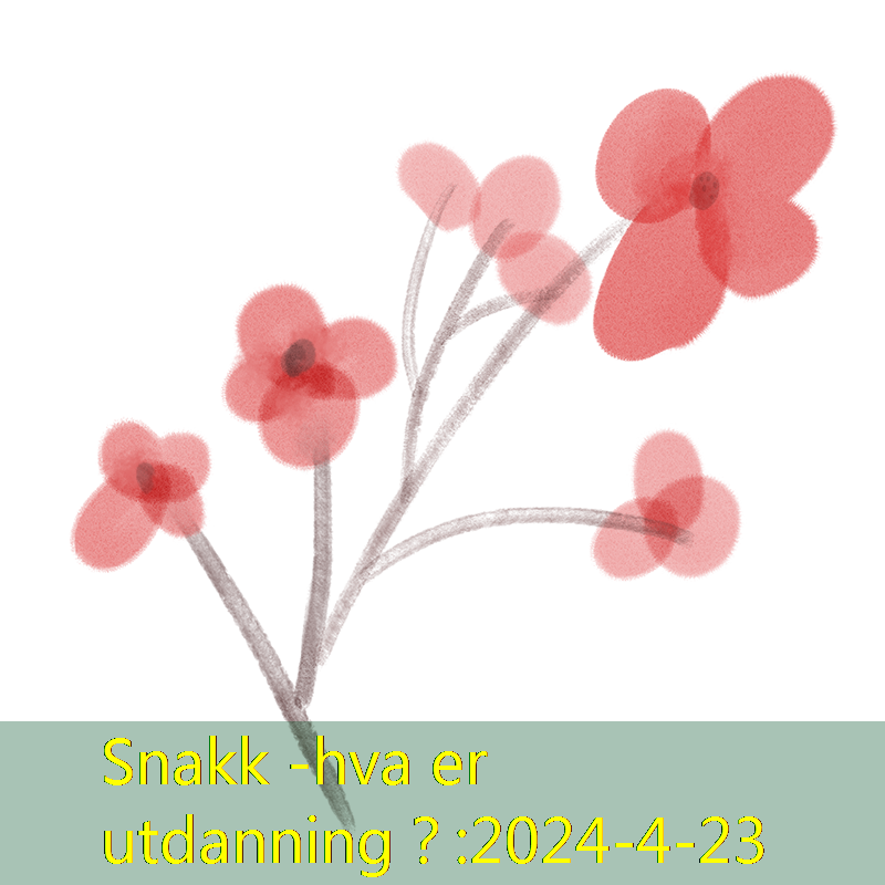 Snakk -hva er utdanning？