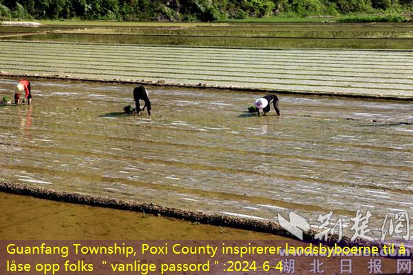 Guanfang Township, Poxi County inspirerer landsbyboerne til å låse opp folks ＂vanlige passord＂